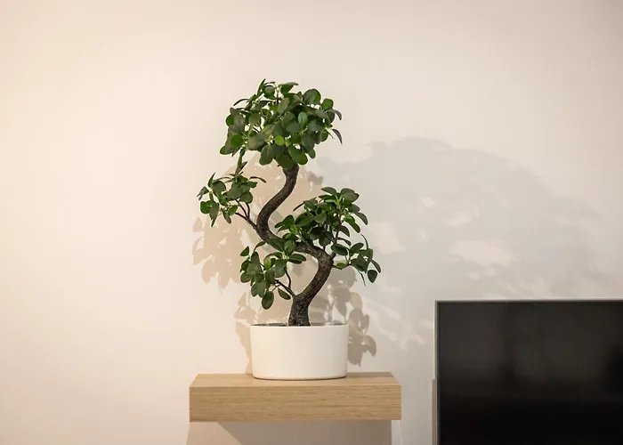 Province Apartment-rental In * Rom